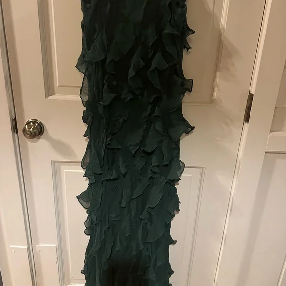 BHLDN Dark Green Ruffled Maxi Dress - Picture 6 of 7